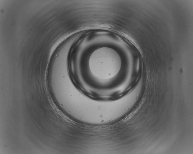 X0000070190928200605261154