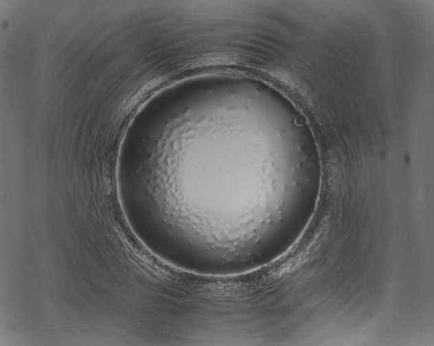 X0000070190929200605261154