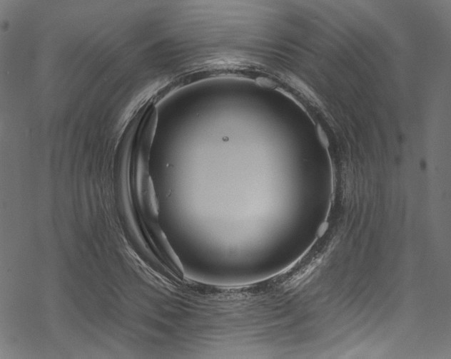 X0000070190930200605261154