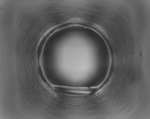 X0000070190931200605261154