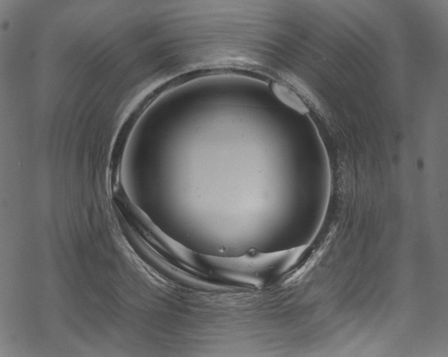 X0000070190932200605261154