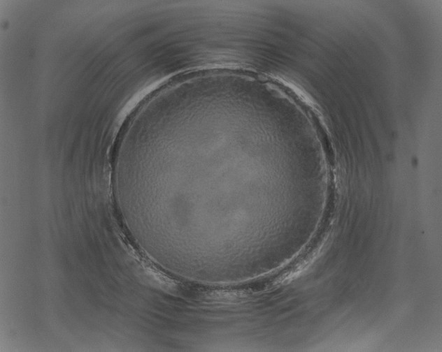 X0000070190933200605261154