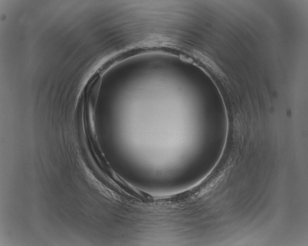 X0000070190934200605261154