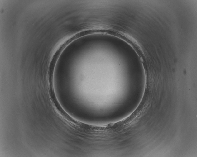 X0000070190935200605261154