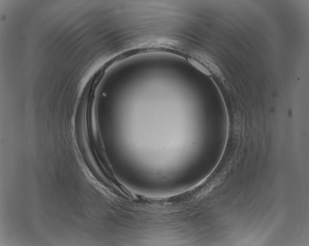 X0000070190936200605261154