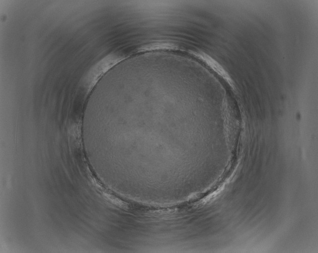 X0000070190937200605261154