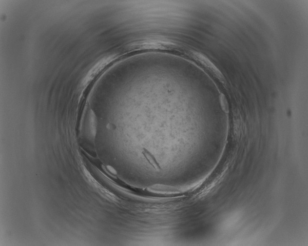 X0000070190938200605261154