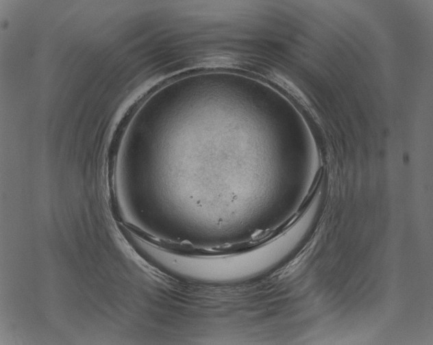 X0000070190939200605261154