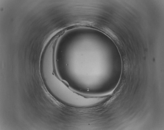 X0000070190940200605261154