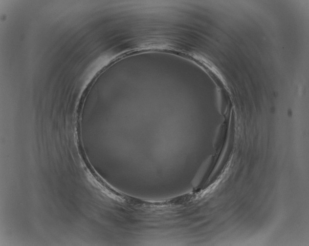 X0000070190941200605261154