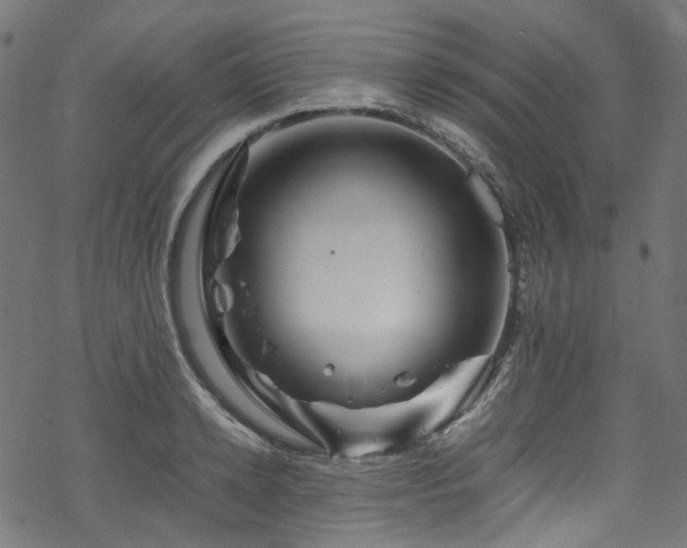 X0000070190942200605261154