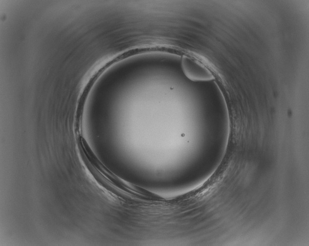 X0000070190943200605261154