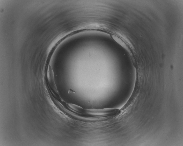 X0000070190944200605261154