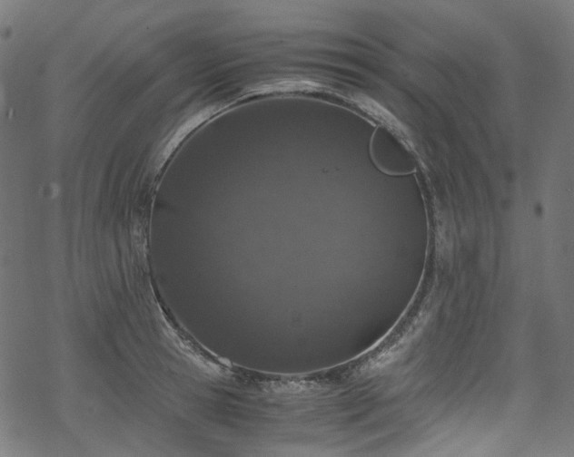 X0000070190945200605261154