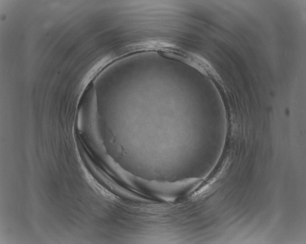 X0000070190946200605261154