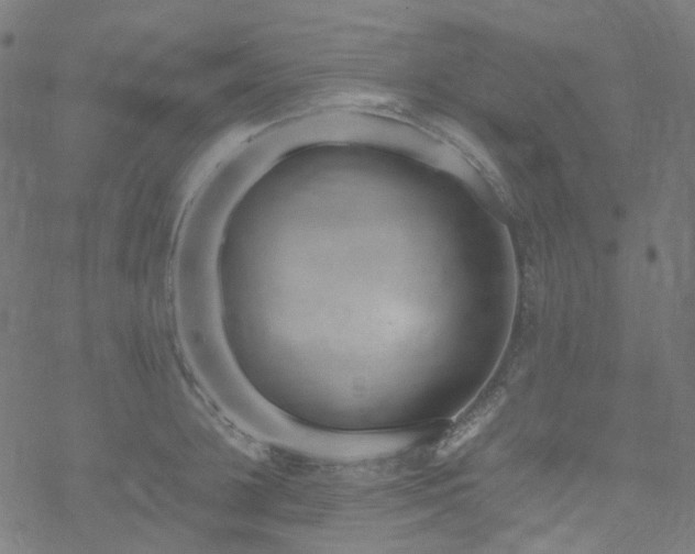 X0000070190948200605261154