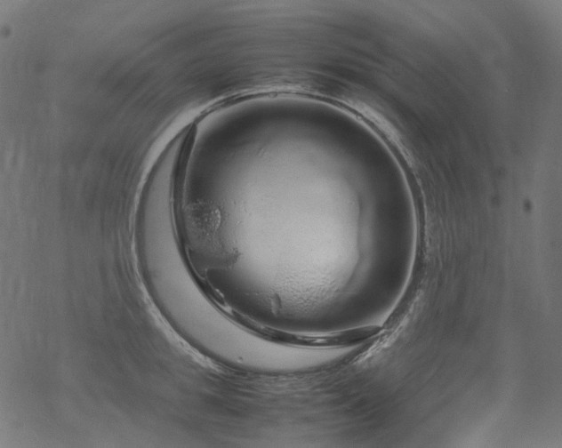 X0000070190949200605261154