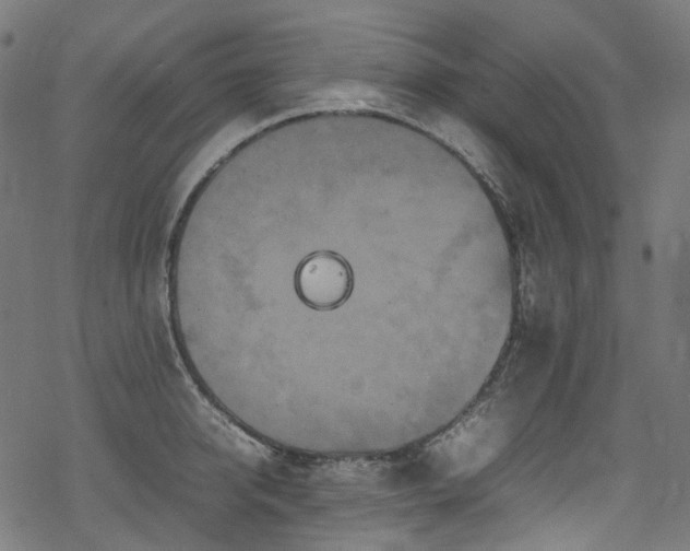 X0000070190950200605261154