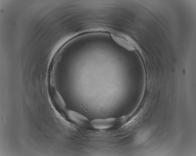 X0000070190951200605261154