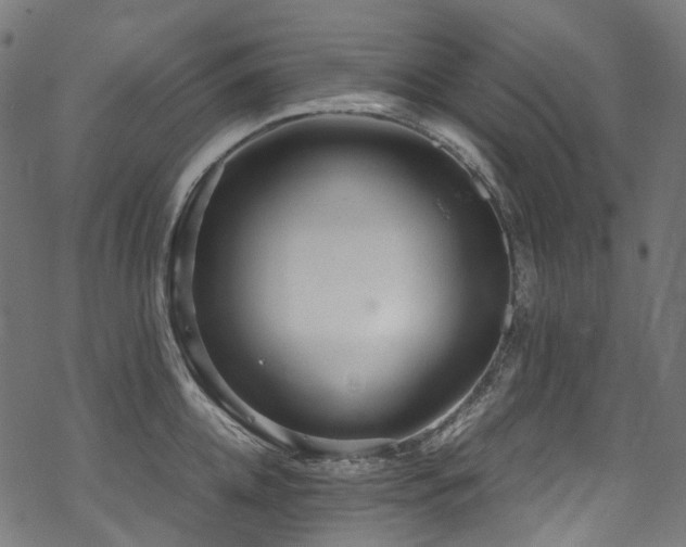 X0000070190952200605261154