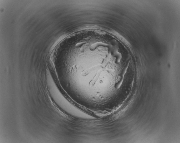 X0000070190953200605261154