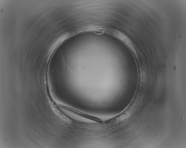 X0000070190954200605261154