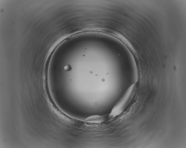 X0000070190955200605261154