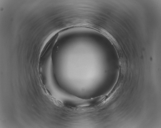 X0000070190956200605261154