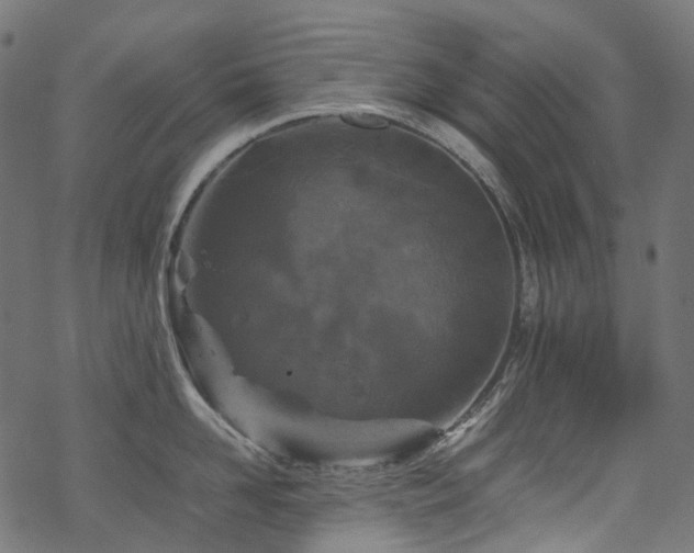 X0000070190958200605261154