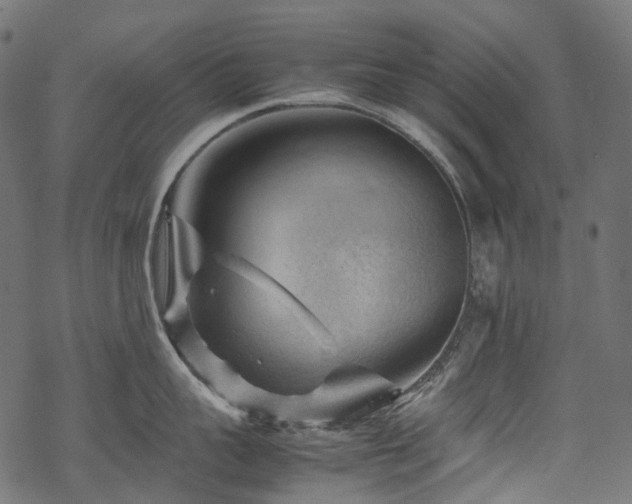 X0000070190959200605261154