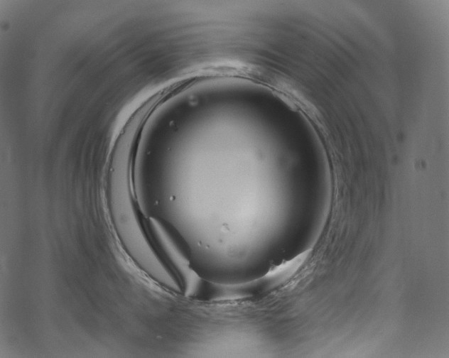 X0000070190960200605261154