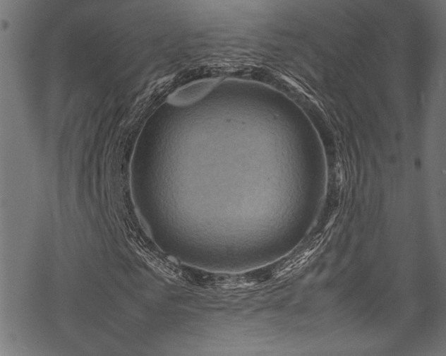 X0000070190961200605261153