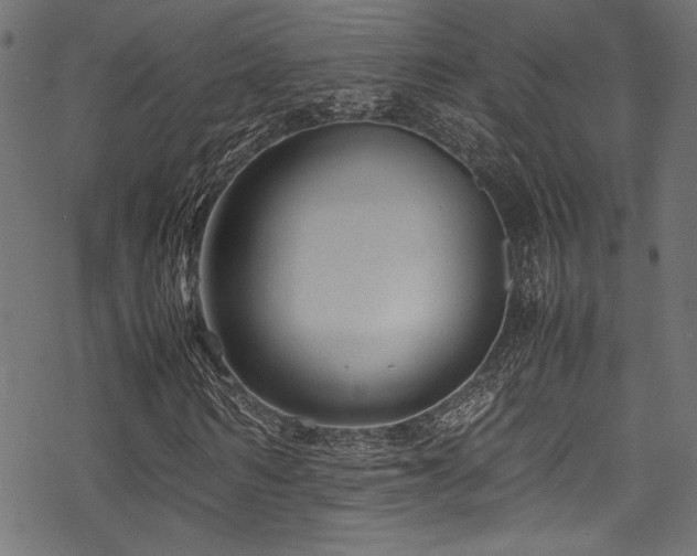 X0000070190962200605261153