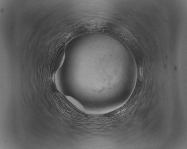 X0000070190963200605261153