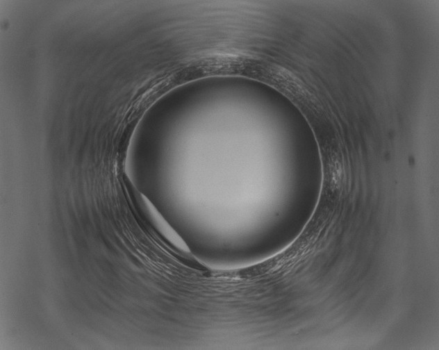 X0000070190964200605261153