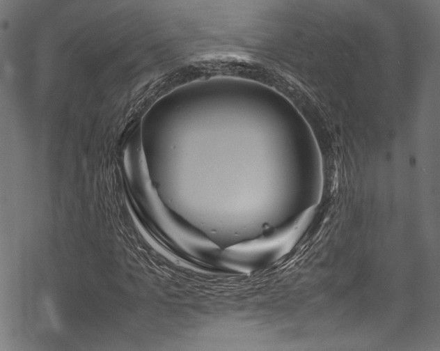 X0000070190965200605261153