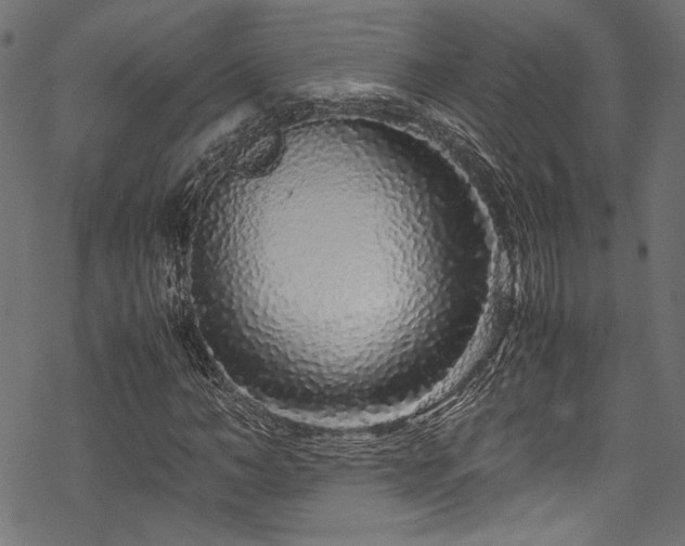 X0000070190966200605261153