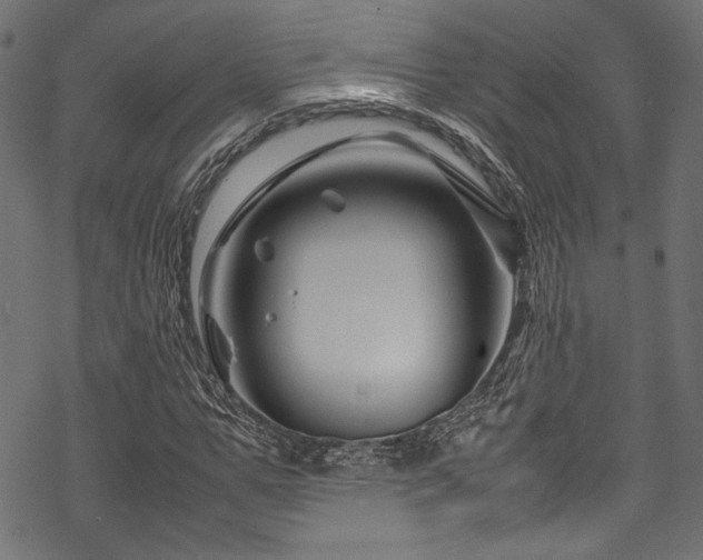 X0000070190967200605261153