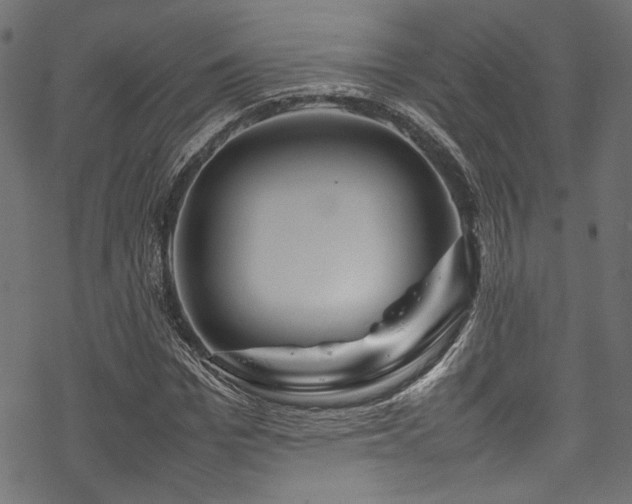 X0000070190969200605261153