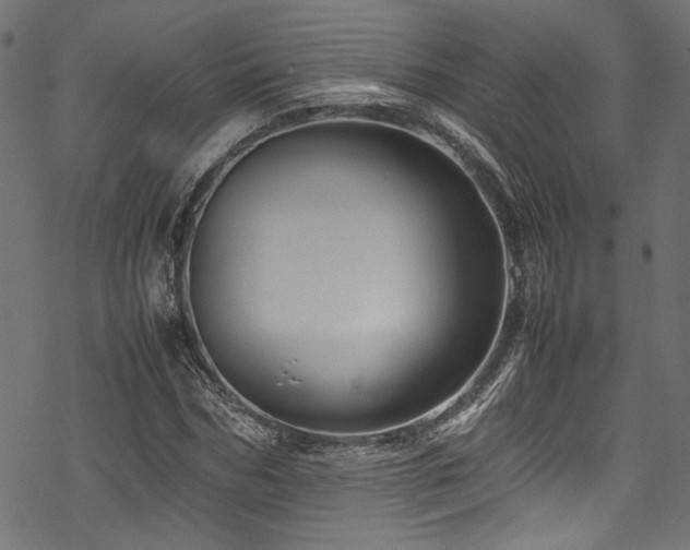 X0000070190970200605261153