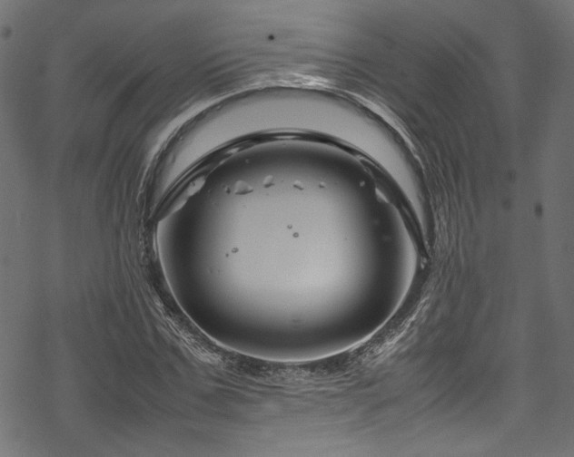 X0000070190971200605261153