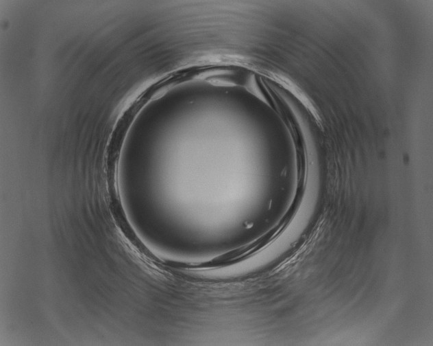 X0000070190972200605261153