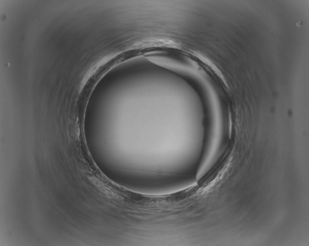 X0000070190973200605261153