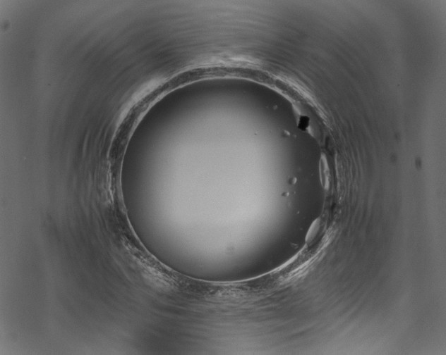 X0000070190974200605261153