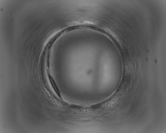 X0000070190975200605261153