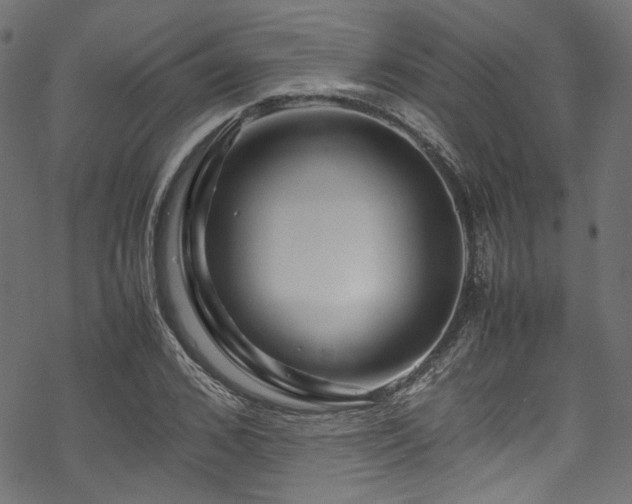 X0000070190976200605261153