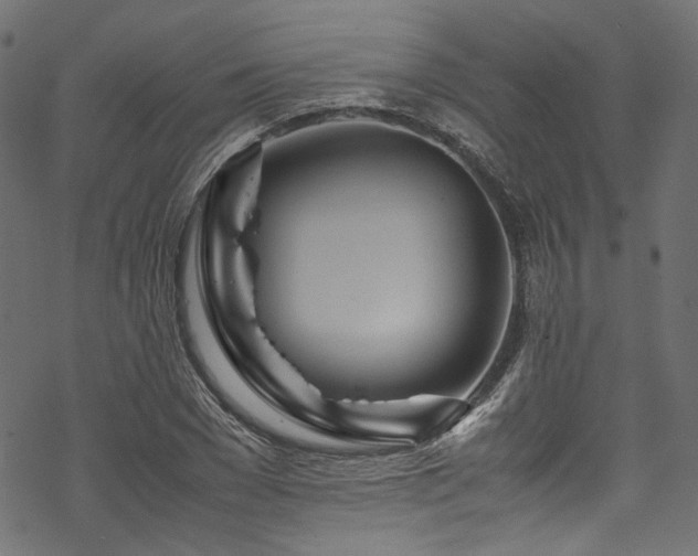 X0000070190977200605261153