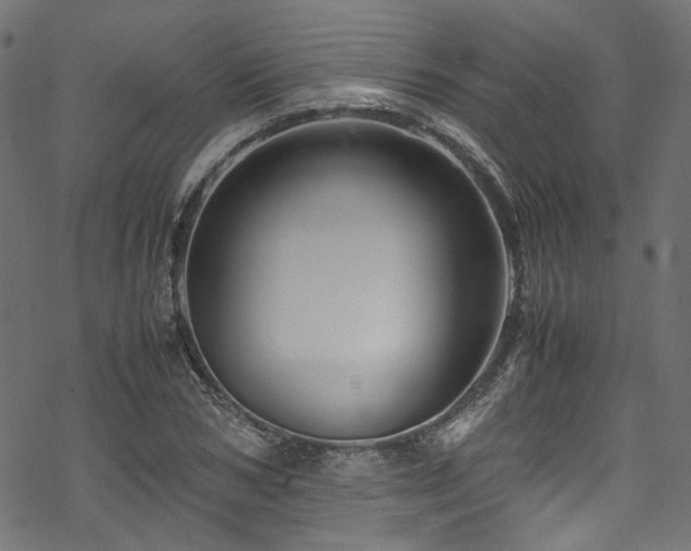 X0000070190978200605261153