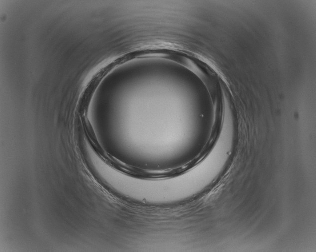 X0000070190979200605261153