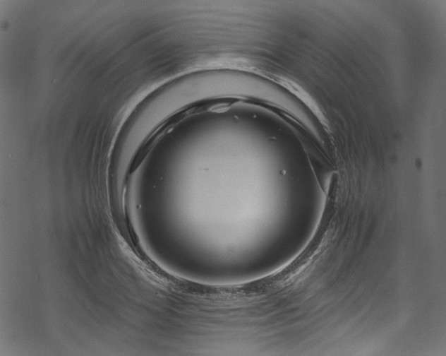 X0000070190980200605261153